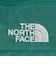 ザ・ノース・フェイス（THE NORTH FACE）ウエストバッグ ウエストポーチ RHEA リーア NM72350X FF 2.5L グリーン