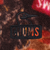 チャムス（CHUMS）アウター フリース リサイクルチャムリーフリース リバーシブルジャケット CH04-1366-Z291 オレンジ
