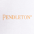 ペンドルトン（PENDLETON）半袖 ショートスリーブ バックプリント Tシャツ 19802380 OWH
