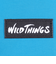 ワイルドシングス（WILD THINGS）ポーチ チョークバッグ チョークバッグ WT-380-3805TUQ