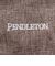 ペンドルトン（PENDLETON）トートバッグ サマー ミニトート 19802324026000