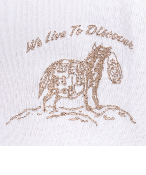 ジャックウルフスキン（JackWolfskin）ワンダーウルフ Tシャツ 5033841