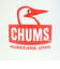 チャムス（CHUMS）水筒 タンブラー 保温 保冷 キャンパーステンレスボトル300 CH62-1919-W014