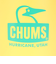 チャムス（CHUMS）水筒 タンブラー 保温 保冷 キャンパーステンレスボトル300 CH62-1919-Y066