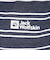 ジャックウルフスキン（JackWolfskin）アーバンストライプ Tシャツ 5033801-1010 速乾