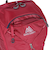 グレゴリー（GREGORY）バックパック リュック 登山 ハイキング ジェイド24 LT ルビーレッド 1493191761