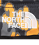 ザ・ノース・フェイス（THE NORTH FACE）ウエストバッグ アウトドア スウィープ NM72304 SL レオパード 4L ハイキング 旅行 スポーツ