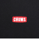 チャムス（CHUMS）HWYC Glow 長袖Tシャツ CH01-2477-K071