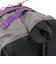 グレゴリー（GREGORY）ポーチ バッグ デイパック グレー パープル 65169T240