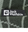 ジャックウルフスキン（JackWolfskin）ニット帽 ニットキャップ アルプスピッツェ ビーニー 1911581-4161 グリーン 速乾 抗菌防臭