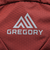 グレゴリー（GREGORY）バックパック リュック 登山 ハイキング シトロ30 1268801129