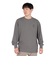 ザ・ノース・フェイス（THE NORTH FACE）トレーナー スウェット ヘザーロゴ クルーネック NT12334 SP