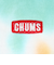 チャムス（CHUMS）長袖Tシャツ ロンT ブービーロゴTシャツ CH01-2275-Z358 オレンジ×グリーン バックプリント 綿100