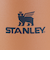 スタンレー（STANLEY）水筒 ボトル マグ H2.0 真空スリムクエンチャー 0.88L トースト 10-10829-228