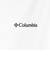 コロンビア（Columbia）ロマビスタグラフィック ロングスリーブTシャツ PM0764 125 速乾