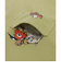 チャムス（CHUMS）ジュニア アンチバグフードヨーカイポケットTシャツ CH21-1362-M118