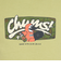 チャムス（CHUMS）ジュニア アンチバグチャムスグラフィティTシャツ CH21-1363-M118