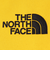 ザ・ノース・フェイス（THE NORTH FACE）フィルデンス ポールケース NM82204 SG