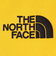 ザ・ノース・フェイス（THE NORTH FACE）フィルデンス ポールケース NM82204 SG