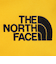 ザ・ノース・フェイス（THE NORTH FACE）フィルデンス ギアトートバッグ Mサイズ NM82201 SG