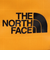 ザ・ノース・フェイス（THE NORTH FACE）ソフトクーラーボックス ワンダーフロストクーラー Mサイズ NM52501 SG