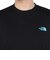 ザ・ノース・フェイス（THE NORTH FACE）半袖Tシャツ ショートスリーブフラッシュドライカクタスロゴティー NT32545 K ブラック