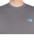 ザ・ノース・フェイス（THE NORTH FACE）半袖Tシャツ ショートスリーブフラッシュドライカクタスロゴティー NT32545 SP グレー