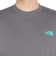 ザ・ノース・フェイス（THE NORTH FACE）半袖Tシャツ ショートスリーブフラッシュドライカクタスロゴティー NT32545 SP グレー
