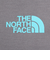 ザ・ノース・フェイス（THE NORTH FACE）半袖Tシャツ ショートスリーブフラッシュドライカクタスロゴティー NT32545 SP グレー