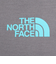 ザ・ノース・フェイス（THE NORTH FACE）半袖Tシャツ ショートスリーブフラッシュドライカクタスロゴティー NT32545 SP グレー