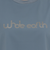 ホールアース（Whole Earth）カットソー 半袖 LONG COOL Tシャツ WE2TDZ57 BGRY 冷感 速乾