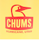 チャムス（CHUMS）水筒 ボトル マグ キャンパーウェーブボトル 300ml CH62-2127-Y076