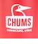 チャムス（CHUMS）水筒 ボトル マグ キャンパーウェーブボトル 300ml CH62-2127-R121