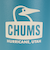 チャムス（CHUMS）水筒 ボトル マグ キャンパーウェーブボトル 300ml CH62-2127-T045