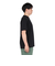 ザ・ノース・フェイス（THE NORTH FACE）半袖Tシャツ ショートスリーブフラッシュドライセブンサミットグラフィックティー NT32544 K ブラッ…