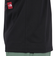 ザ・ノース・フェイス（THE NORTH FACE）半袖Tシャツ ショートスリーブフラッシュドライセブンサミットグラフィックティー NT32544 K ブラッ…