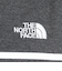 ザ・ノース・フェイス（THE NORTH FACE）半袖Tシャツ ショートスリーブ パネルボーダーTシャツ NT32406 ZC 速乾