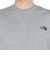 ザ・ノース・フェイス（THE NORTH FACE）半袖Tシャツ ショートスリーブヨセミテシーナリーティー NT32436 Z2 グレー
