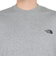 ザ・ノース・フェイス（THE NORTH FACE）半袖Tシャツ ショートスリーブヨセミテシーナリーティー NT32436 Z2 グレー