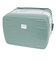 スタンレー（STANLEY）クーラーボックス Cooler 15.1L グリーン 10-01623-210
