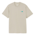 ザ・ノース・フェイス（THE NORTH FACE）半袖 グレートレース Tシャツ NT82531 FI