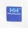 ヘリーハンセン（HELLY HANSEN）ロンT TSC 長袖Tシャツ HH32595 OW