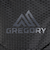 グレゴリー（GREGORY）バックパック リュック 登山 ハイキング ナノ 20 1530589974