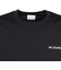 コロンビア（Columbia）アーバンハイクグラフィック 半袖Tシャツ PM0616 012