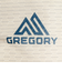 グレゴリー（GREGORY）ポーチ バッグ ナノパデッドケースM 154079A545