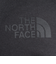 ザ・ノース・フェイス（THE NORTH FACE）ジュニア 長袖 トドラー ロングスリーブ スモールスクエアロゴ Tシャツ NTT32531 AG UVカッ…