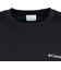 コロンビア（Columbia）長袖Tシャツ ロンT アーバンハイクグラフィック PM0571 012