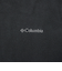 コロンビア（Columbia）フルジップ フリース バックアイスプリングスジャケット XM8719 015