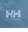 ヘリーハンセン（HELLY HANSEN）バッグ バックパック リュック ステティンド20 HY92331 CL