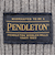 ペンドルトン（PENDLETON）ニット帽 トレッキング 登山 ハーディングワッチ PDT-000-253007 LGRY